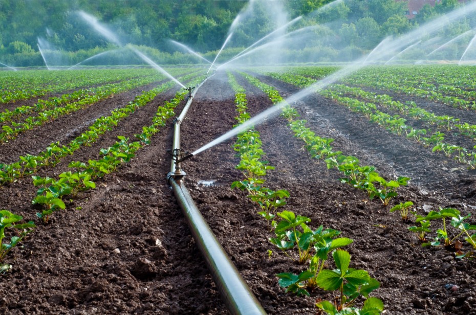 image for Reclaimed Water